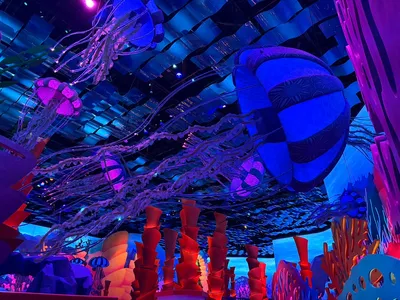 3F435D9B-6819-4BA4-AD09-91AE75A860AD_1_105_c