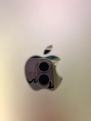 41AC423B-6CD5-4EAB-873F-750597E6F0E2_1_105_c