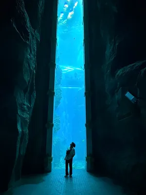 890F7525-2526-4752-9987-D303ECE75B5C_1_105_c