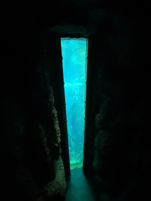 9273BC8B-F259-4EFC-A334-1505C12CB0C3_1_105_c 1