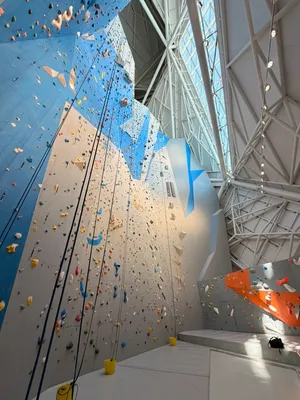 93C1CFCC-08E8-4C64-A7D7-09CA1316973F_1_105_c