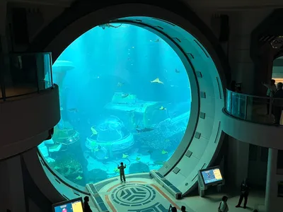 B76ACCBF-21D5-4817-8D37-BEAD2C74B959_1_105_c