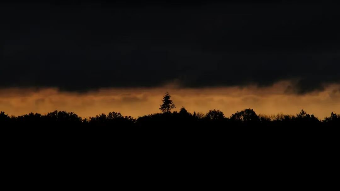 风声之外 · Beyond the Sirens